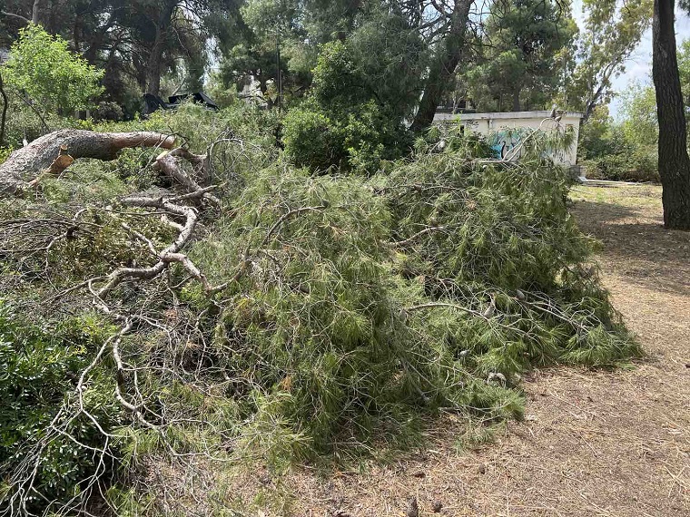 Πεντέλη: Αυτοψία της εφημερίδας edisorama.gr στο δάσος του Παπαδημητρίου – Αυτό που αντικρίσαμε ήταν απίστευτο, κομμένα δέντρα, μπάζα και σκουπίδια