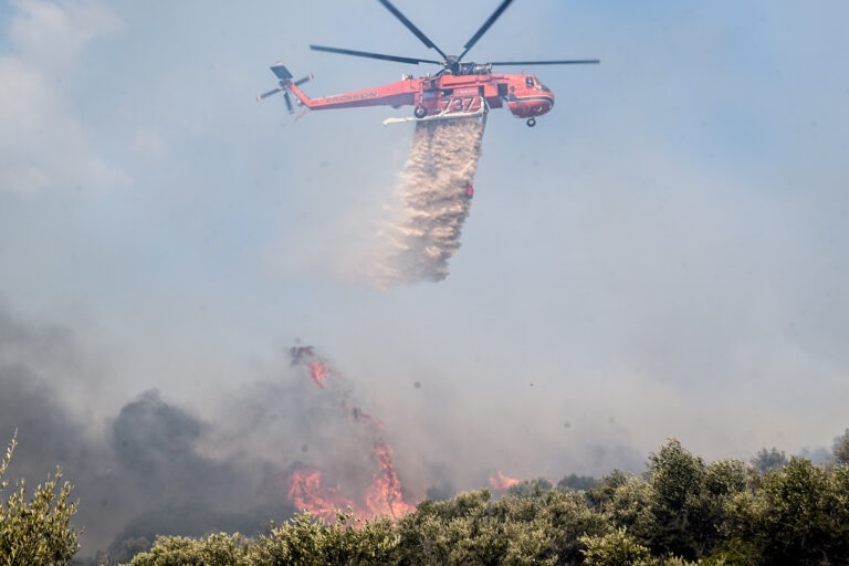 Η φωτιά μπήκε στον Εθνικό Δρυμό της Πάρνηθας