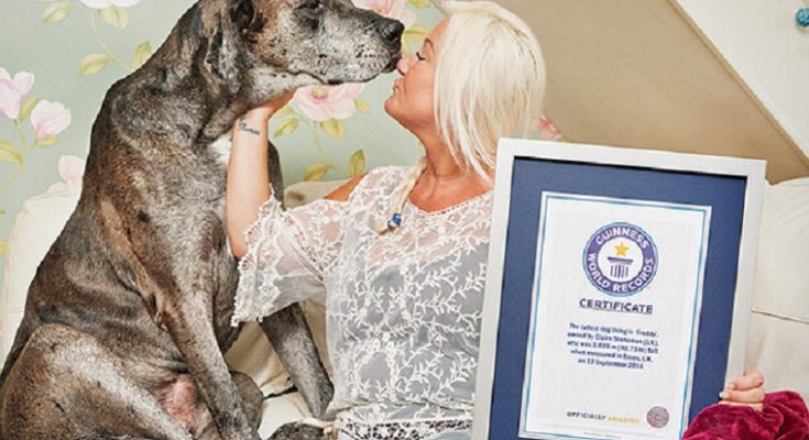 Έφυγε από τη ζωή σε ηλικία μόλις 3 ετών ο ψηλότερος σκύλος στον κόσμο