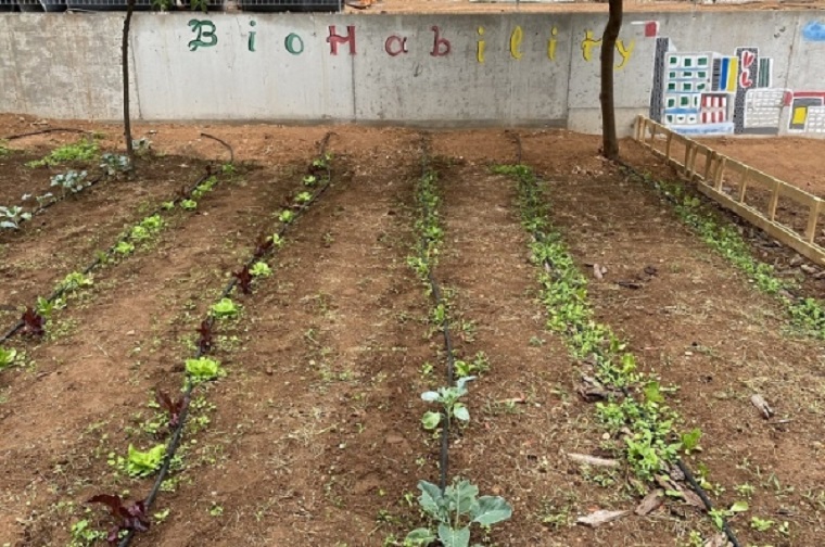 Παπάγου-Χολαργός: Έναρξη 3ου κύκλου του Προγράμματος «BioHability-Αστική Κηπουρική» για την ένταξη και απασχόληση ΑμεΑ