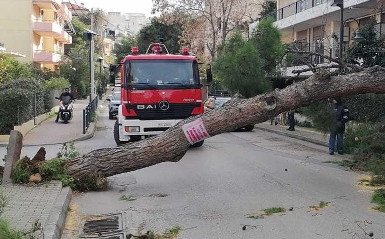 Αγία Παρασκευή: Πτώση μεγάλου δέντρου στην οδό Καραϊσκάκη από την κακοκαιρία