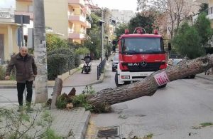 Αγία Παρασκευή: Πτώση μεγάλου δέντρου στην οδό Καραϊσκάκη από την κακοκαιρία