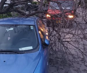 Βριλήσσια: Πτώση δέντρου από τον άνεμο πάνω σε αυτοκίνητο στην οδό Γράμμου