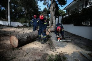 Φιλοθέη Ψυχικό:  Πτώσεις δέντρων τα ξημερώματα από τις  ξαφνικές, ισχυρές βροχοπτώσεις