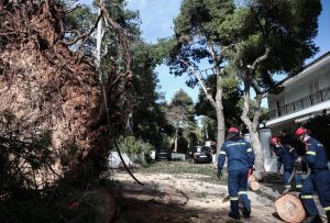 Φιλοθέη Ψυχικό:  Πτώσεις δέντρων τα ξημερώματα από τις  ξαφνικές, ισχυρές βροχοπτώσεις