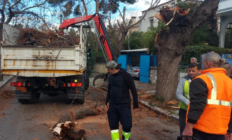 Φιλοθέη Ψυχικό:  Πτώσεις δέντρων τα ξημερώματα από τις  ξαφνικές, ισχυρές βροχοπτώσεις