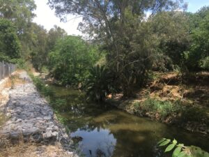IANOS : Εκδήλωση – συζήτηση με θέμα «Αθηναϊκά Ποτάμια»- Μέρος Β΄