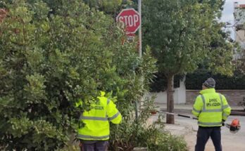 Βριλήσσια: Κλαδέματα σε πάνω από 60 σημεία για αποκατάσταση της ορατότητας των πινακίδων κυκλοφορίας