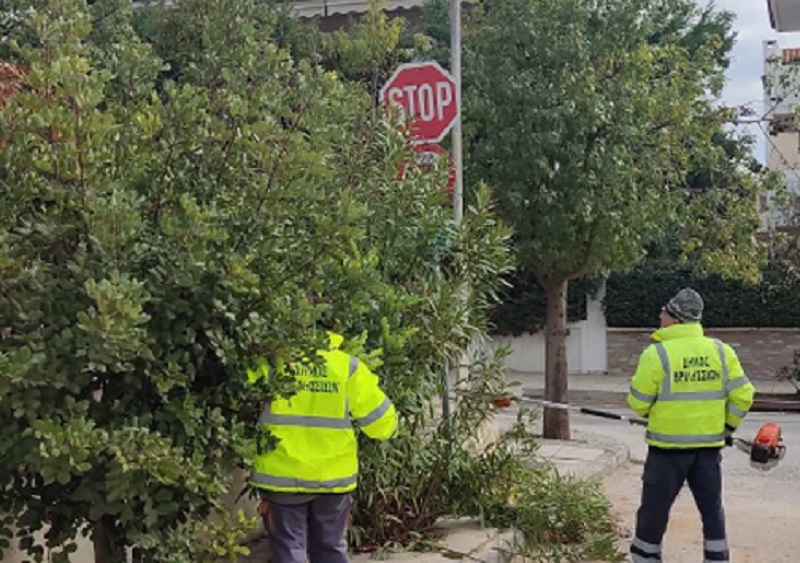 Βριλήσσια: Κλαδέματα σε πάνω από 60 σημεία για αποκατάσταση της ορατότητας των πινακίδων κυκλοφορίας