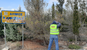 ΣΠΑΠ: Ολοκληρώθηκε το 1ο στάδιο κοψίματος και καψίματος κουκουλιών πιτυοκάμπης για το 2024