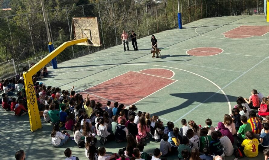 Πεντέλη: Δράσεις για την Παγκόσμια Ημέρα Αδέσποτων Ζώων