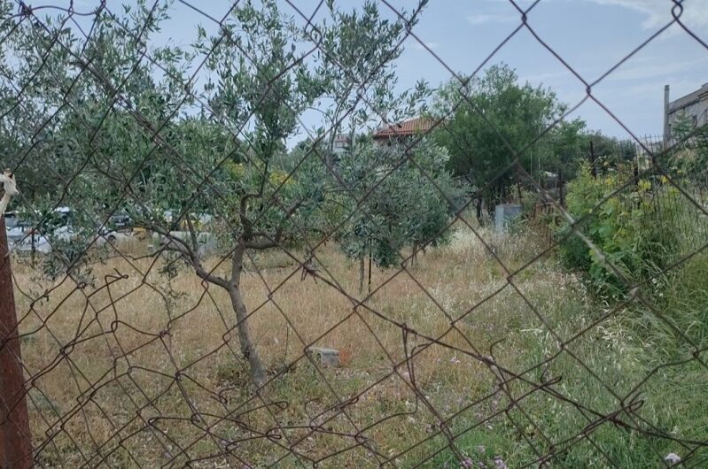 Χαλάνδρι: Ψευδής η είδηση ότι επιβλήθηκε από το Δήμο πρόστιμο σε «ακαθάριστο» χλοοτάπητα