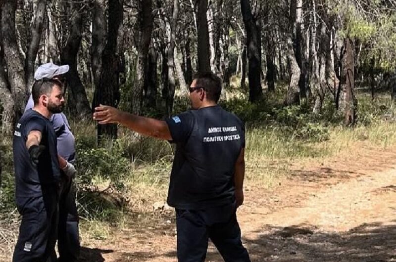 Κηφισιά: Ημέρα εθελοντικού καθαρισμού στο Δάσος Φασίδερη