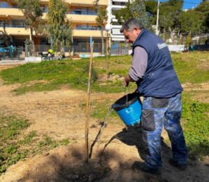 Λυκόβρυση Πεύκη: Νέα δενδροφύτευση στο δάσος Μορέλλα στην Πεύκη