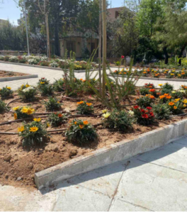 Λυκόβρυση Πεύκη: Ολοκληρώθηκε το έργο διαμόρφωσης και φύτευσης στο οικόπεδο Παχή