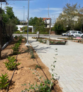 Λυκόβρυση Πεύκη: Ολοκληρώθηκε το έργο διαμόρφωσης και φύτευσης στο οικόπεδο Παχή