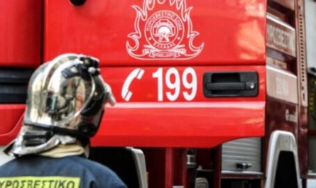 Κερατέα : Πλήρωμα Πυροσβεστικής Υπηρεσίας δέχθηκε επίθεση με πέτρες ενώ έσβηναν την φωτιά - Τραυματίας πυροσβέστης