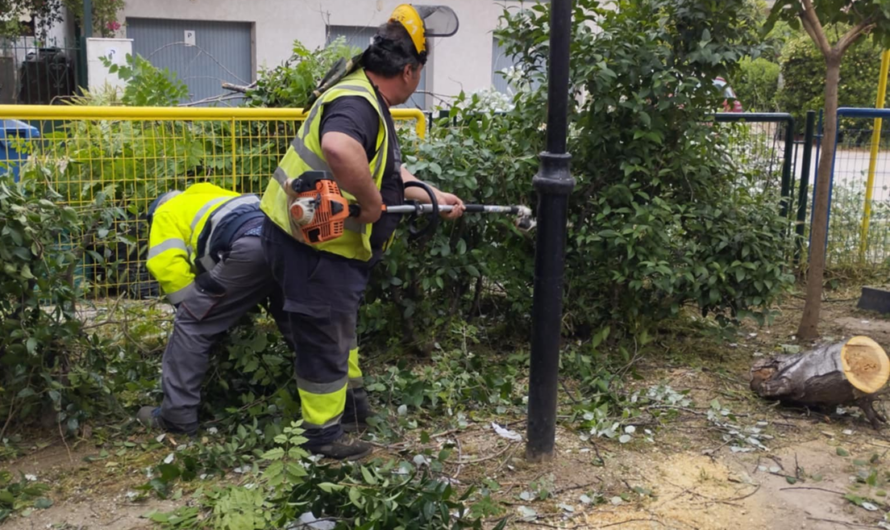 Μαρούσι : Εργασίες καθαριότητας, φυτεύσεων, συντήρησης πρασίνου και τεχνικές επισκευές από την Υπηρεσία του Αστικού πρασίνου και καθαριότητας