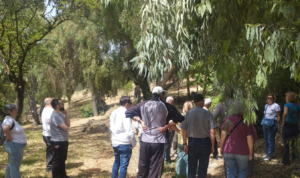 Οι προτάσεις της Δήμαρχου συζητήθηκαν, έγιναν αποδεκτές από τους συμμετέχοντες και θα αποτελέσουν τη βάση των εργασιών που ξεκινούν μέσα στη βδομάδα.