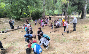 Τα παιδιά έλαβαν πολύτιμη βοήθεια από τους εργαζομένους στο Τμήμα Πρασίνου του Δήμου Χαλανδρίου.