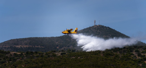 «ΔΙΑ ΠΥΡΟΣ 2025» Η μεγάλη ετήσια άσκηση πεδίου δασικής πυρκαγιάς στην Ανατολική Αττική
