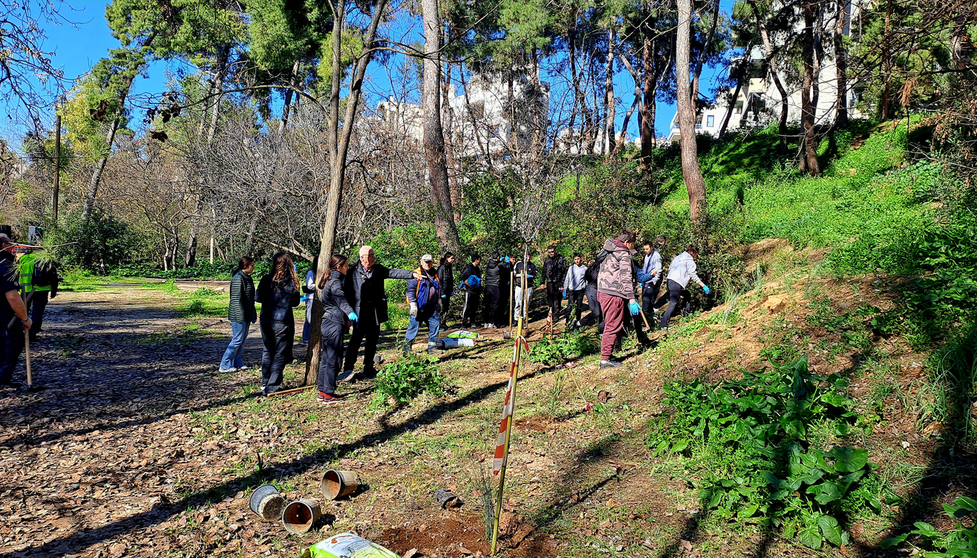 Η δράση αυτή πραγματοποιείται στο πλαίσιο της εφαρμογής όσων προβλέπονται, στην προσφάτως εγκεκριμένη από το Δασαρχείο Διαχειριστική Μελέτη της Ρεματιάς.
