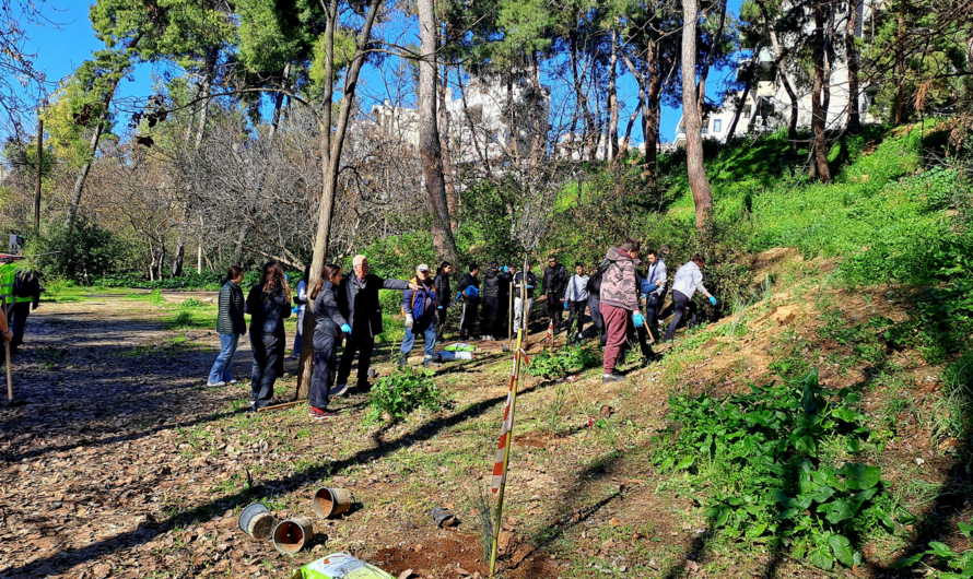 Χαλάνδρι: «Ρεματιά Χαλανδρίου» Νέα δενδροφύτευση με τη συμμετοχή των δημοτικών σχολείων της πόλης