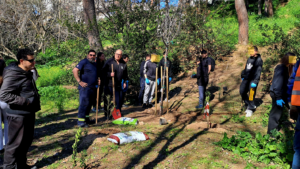Η δράση αυτή πραγματοποιείται στο πλαίσιο της εφαρμογής όσων προβλέπονται, στην προσφάτως εγκεκριμένη από το Δασαρχείο Διαχειριστική Μελέτη της Ρεματιάς.