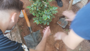Χαλάνδρι: Νέες φυτεύσεις σε συνεργασία με το 5ο ΓΕΛ