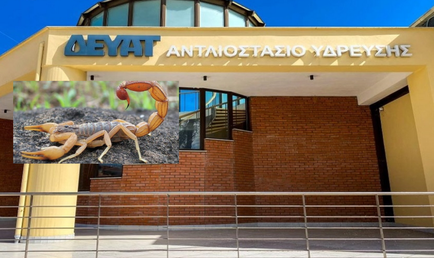 Τρίκαλα: Στο νοσοκομείο δημοτικός υπάλληλος μετά από τσίμπημα σκορπιού