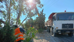 ΠεΣυΔΑΠ: Ολοκληρώθηκε η επιχείρηση του ΠΕΣΥΔΑΠ στο Όρος Αιγάλεω