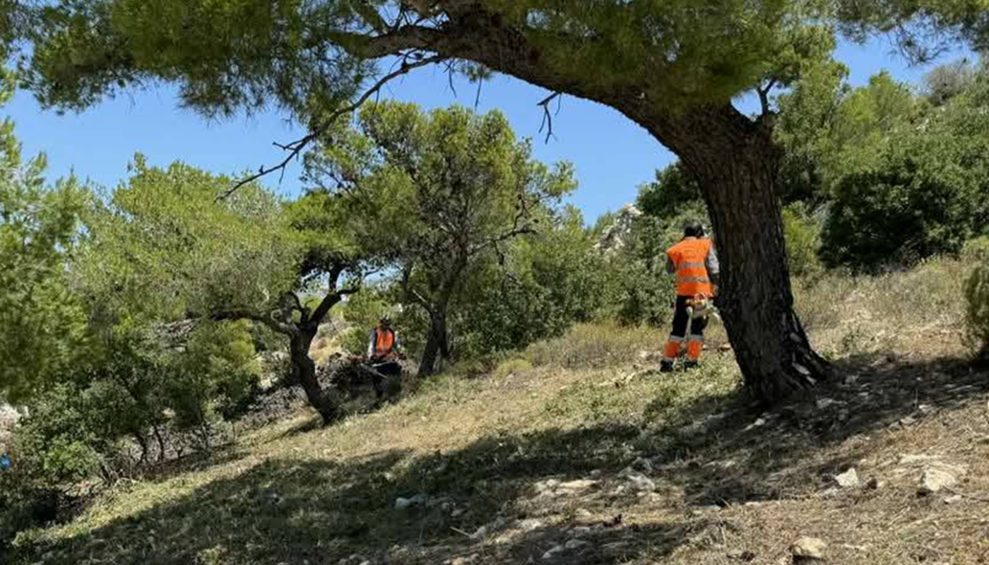 Βριλησσία: Εργασίες για τη δημιουργία ζωνών πυροπροστασίας πέριξ των δρόμων που γειτνιάζουν με δασικές εκτάσεις στο Δήμο