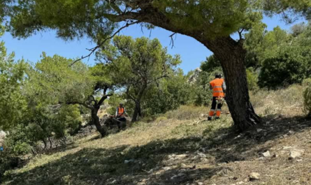 Βριλησσία: Εργασίες για τη δημιουργία ζωνών πυροπροστασίας πέριξ των δρόμων που γειτνιάζουν με δασικές εκτάσεις στο Δήμο