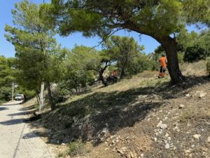 Βριλησσία: Εργασίες για τη δημιουργία ζωνών πυροπροστασίας πέριξ των δρόμων που γειτνιάζουν με δασικές εκτάσεις στο Δήμο Βριλησσία: Εργασίες για τη δημιουργία ζωνών πυροπροστασίας πέριξ των δρόμων που γειτνιάζουν με δασικές εκτάσεις στο Δήμο