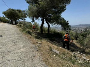 Βριλησσία: Εργασίες για τη δημιουργία ζωνών πυροπροστασίας πέριξ των δρόμων που γειτνιάζουν με δασικές εκτάσεις στο Δήμο