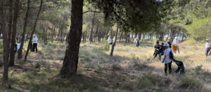 Κηφισιά: Δράση της Πολιτικής Προστασίας του Δήμου καθαρισμού του Δάσους Κεφαλαρίου σε συνεργασία με την εταιρεία MEDIATEL SA Κηφισιά: Δράση της Πολιτικής Προστασίας του Δήμου καθαρισμού του Δάσους Κεφαλαρίου σε συνεργασία με την εταιρεία MEDIATEL SA