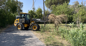 Μαραθώνας: Με εντατικούς ρυθμούς συνεχίζεται η αποκομιδή κλαδευτικών υπολειμμάτων και ογκωδών