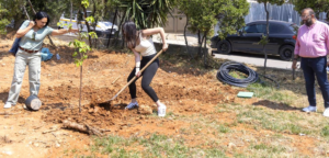 Μαρούσι: Δράση δενδροφύτευσης που διοργάνωσε το Forum Νέων Αμαρουσίου με την υποστήριξη της υπηρεσίας Πρασίνου του Δήμου