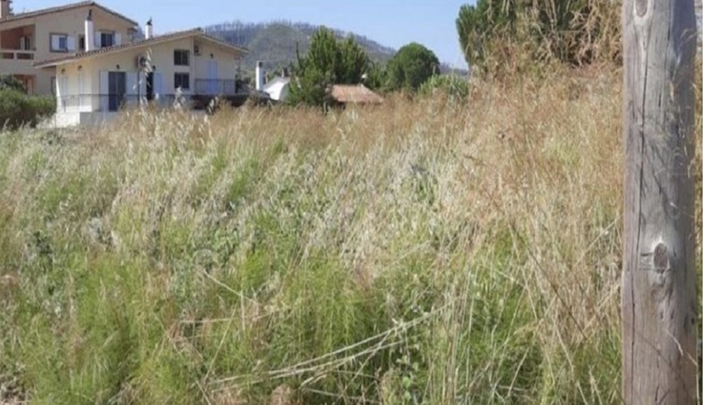 «Ακαθάριστα οικόπεδα» Από σήμερα 16 Ιουνίου αρχίζουν οι έλεγχοι  από Πυροσβεστική και Δήμους