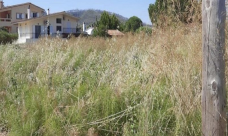 «Ακαθάριστα οικόπεδα» Από σήμερα 16 Ιουνίου αρχίζουν οι έλεγχοι  από Πυροσβεστική και Δήμους