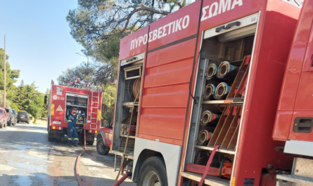 Πεντέλη: Πυρκαγιά που ξέσπασε στη Μονή Πεντέλης - Τέθηκε άμεσα υπό έλεγχο