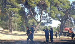 Πεντέλη: Πυρκαγιά ξέσπασε στη Μονή Πεντέλης - Τέθηκε άμεσα υπό έλεγχο