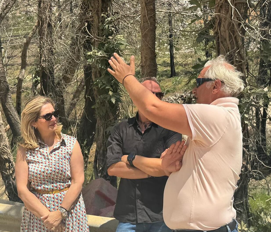 Περιφέρεια Αττικής:  Συνεχίζονται με εντατικό ρυθμό τα έργα αποκατάστασης της επαρχιακής οδού Καπανδριτίου – Βαρνάβα