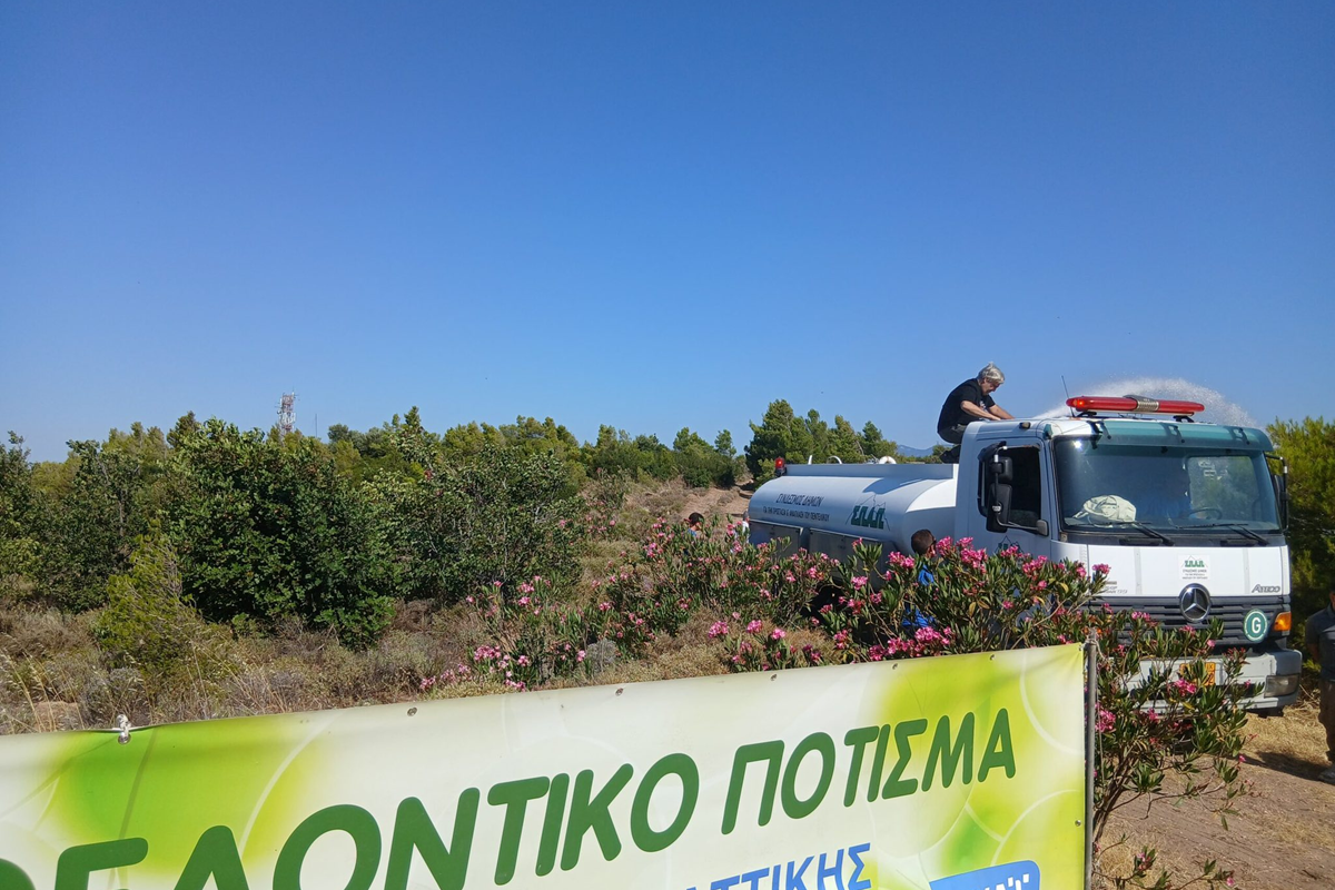 Κηφισιά: Με επιτυχία πραγματοποιήθηκε σήμερα 27/06 ένα ακόμα εθελοντικό πότισμα στον Κοκκιναρά Κηφισιάς