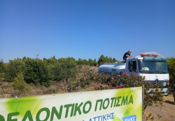 Κηφισιά: Με επιτυχία πραγματοποιήθηκε σήμερα 27/06 ένα ακόμα εθελοντικό πότισμα στον Κοκκιναρά Κηφισιάς