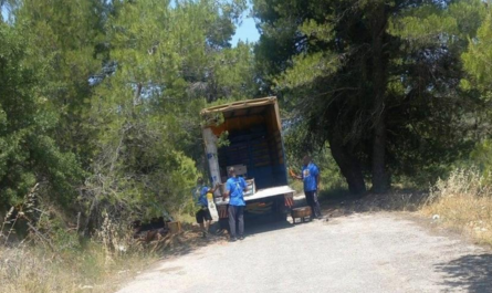 Ωρωπός: Επ’ αυτοφώρω πιάστηκαν εργάτες μεταφορικής εταιρίας να πετάνε παλέτες και μπάζα σε δάσος του Ωρωπού