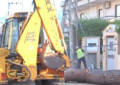 Κηφισιά: Έπεσε δέντρο ύψους 15 μέτρων προκαλώντας ζημιές σε ένα αυτοκίνητο και μια μάντρα