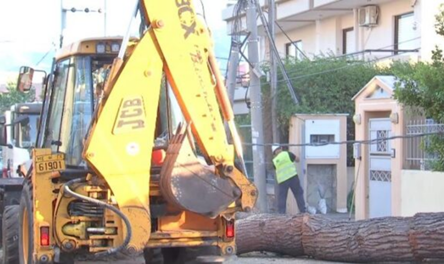 Κηφισιά: Έπεσε δέντρο ύψους 15 μέτρων προκαλώντας ζημιές σε ένα αυτοκίνητο και μια μάντρα