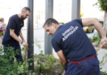 Αθήνα: Η οδός Πανεπιστημίου απέκτησε χρώμα - Συνεχείς δενδροφυτεύσεις και συμμετοχικές δράσεις