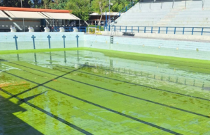 Οι φωτογραφίες που βγήκαν στο φως της δημοσιότητας, έδειχναν την κατάσταση του νερού που είχε πάρει πράσινο χρώμα λόγω του προβλήματος και ήταν φυσικά ακατάλληλο για κολύμβηση.